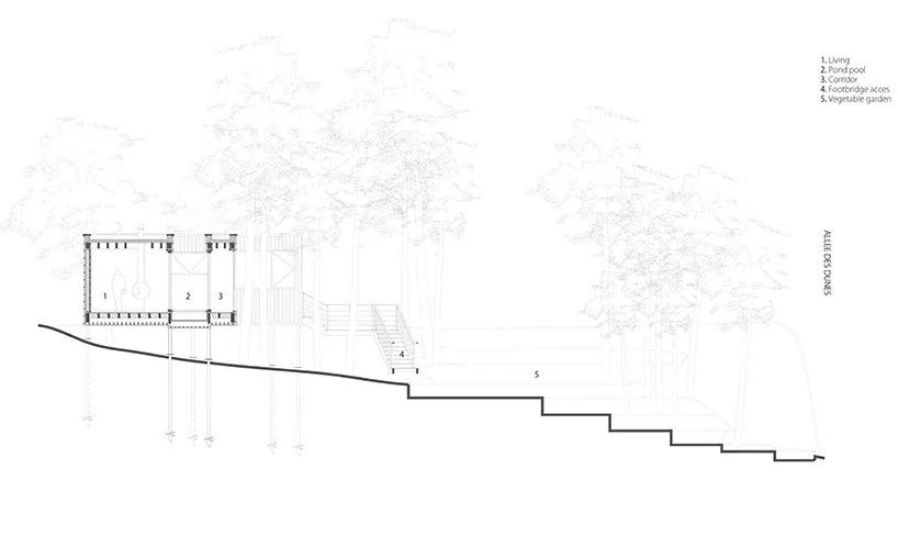 乡村松树树屋,与自然共生的设计奇迹-15