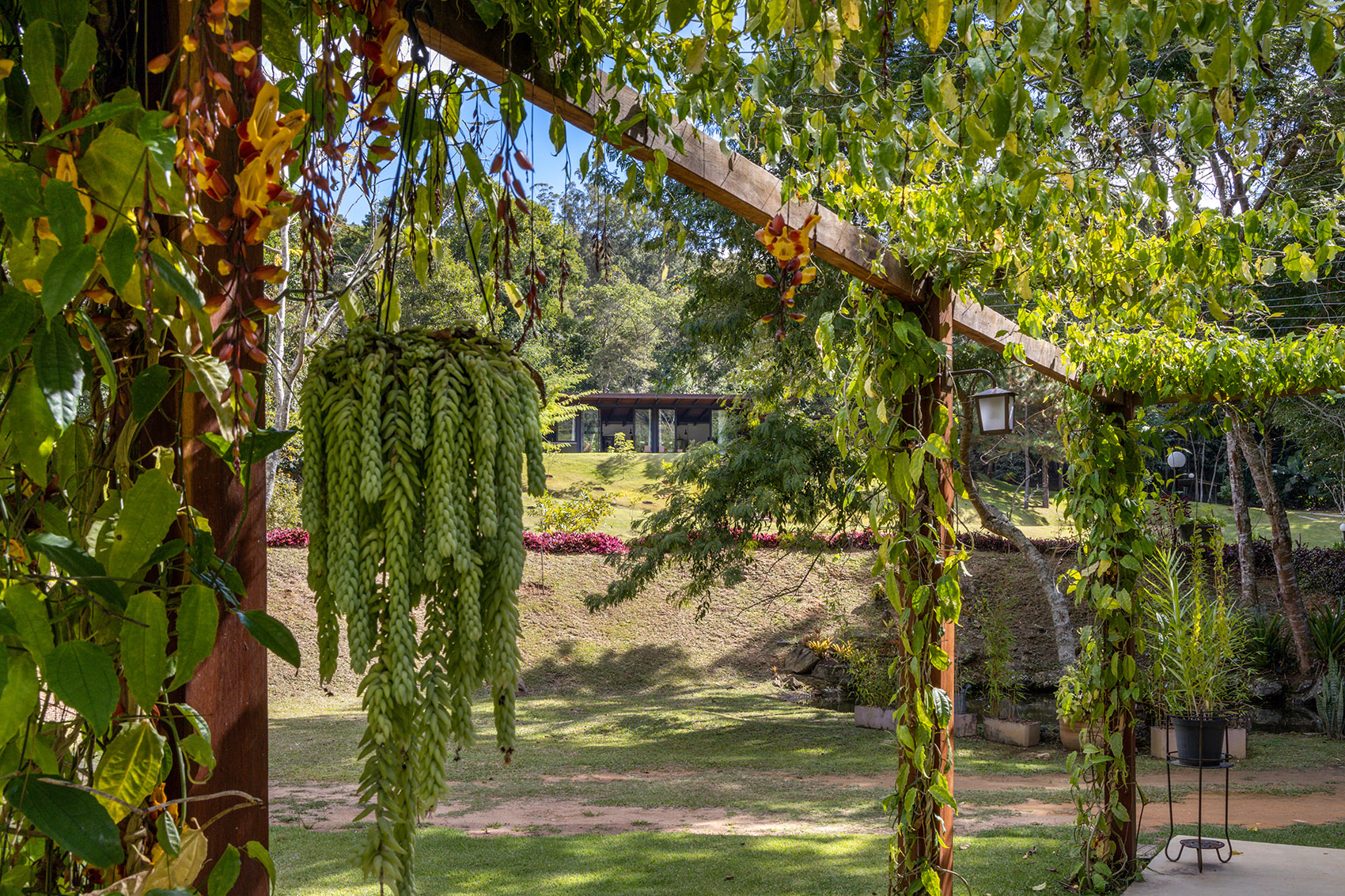 Videiras山谷中的住宅，巴西 / Rodrigo Simão Arquitetura-107