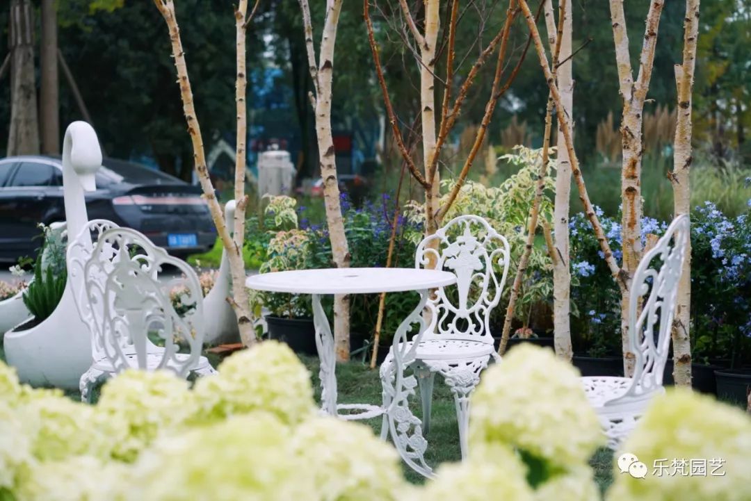 乐梵园艺打造成都花木博览会快闪花园,惊艳全场-27