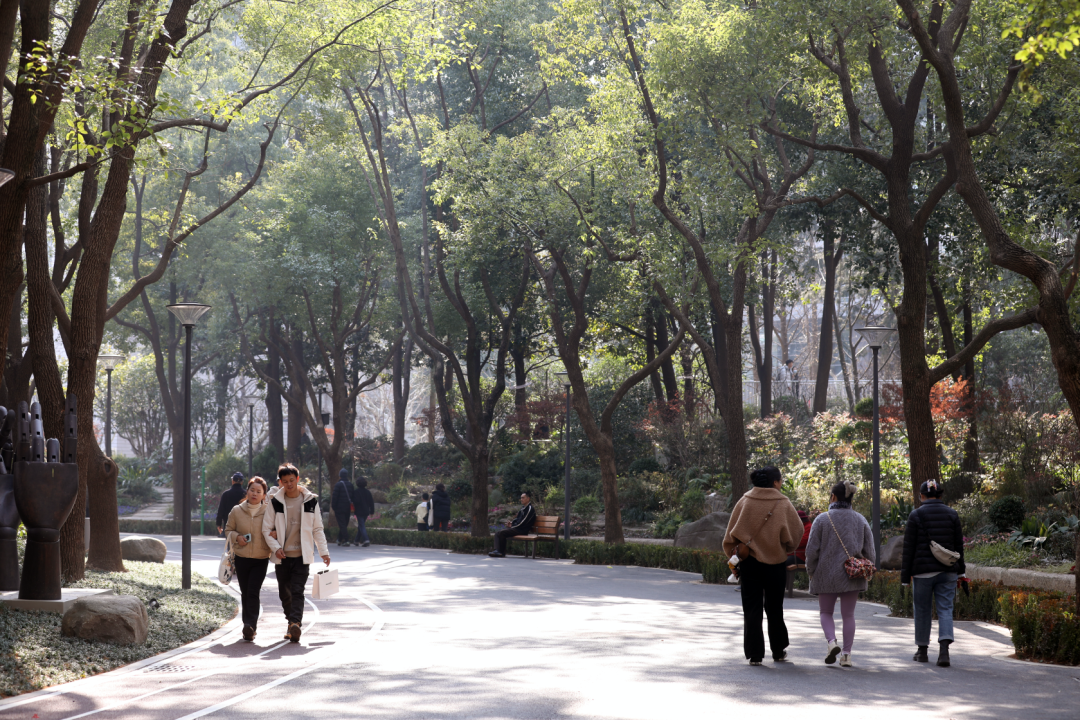 全龄友好的康养主题社区公园：上海长寿公园-101