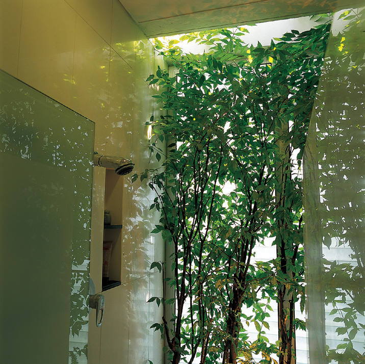 热带风格住宅设计，实现私密性与景观的完美融合-15