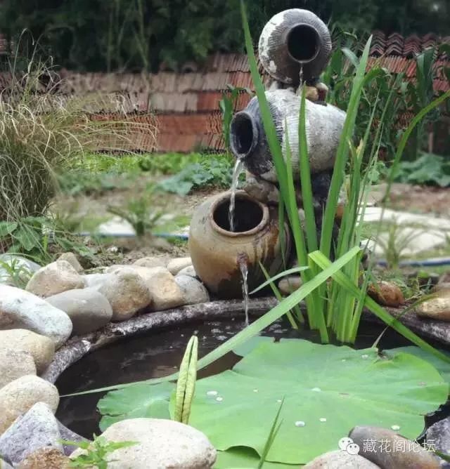 78岁爷爷改造荒废院子,为孙女建起一座花园-102
