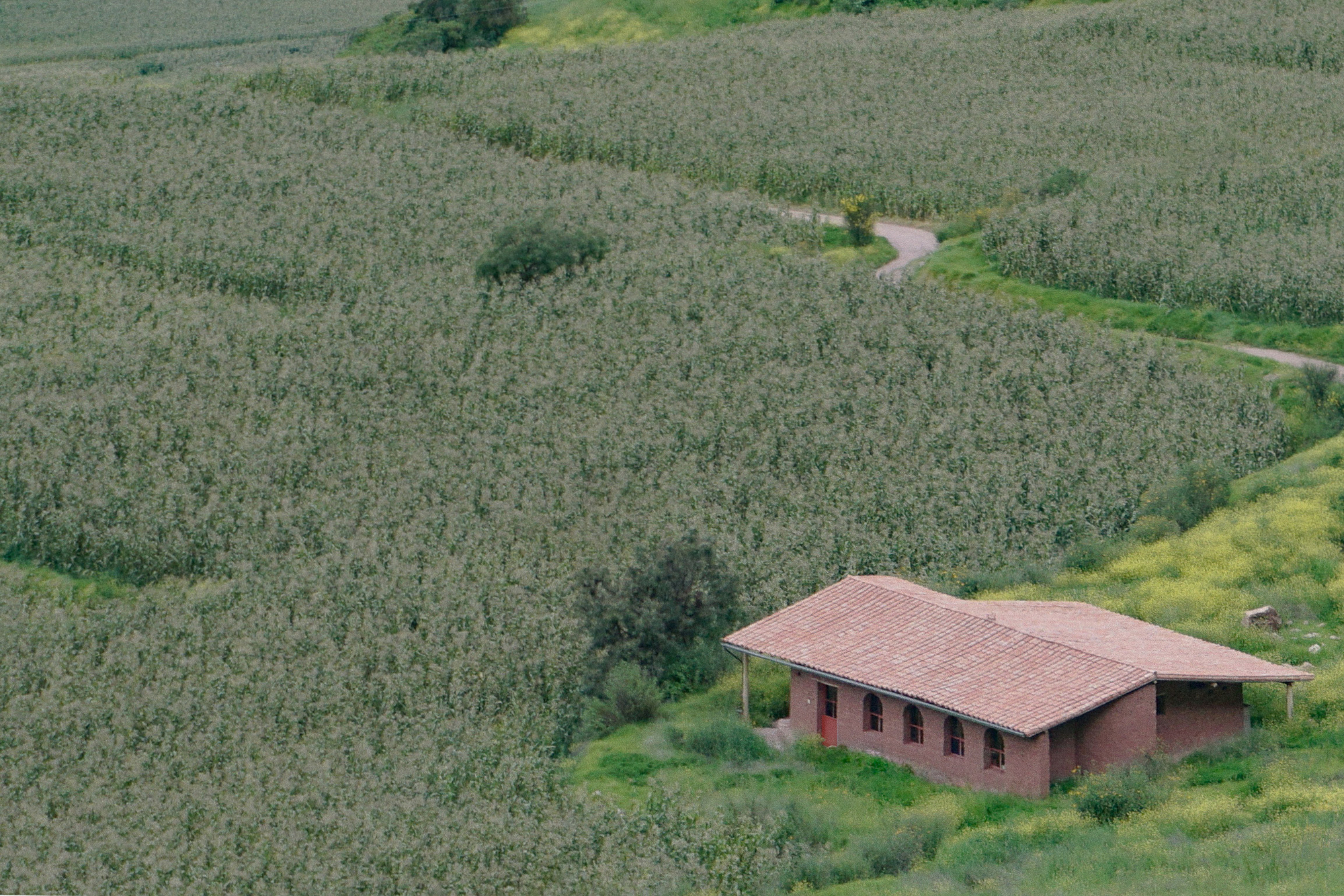 丨秘鲁丨Taller MACAA-31