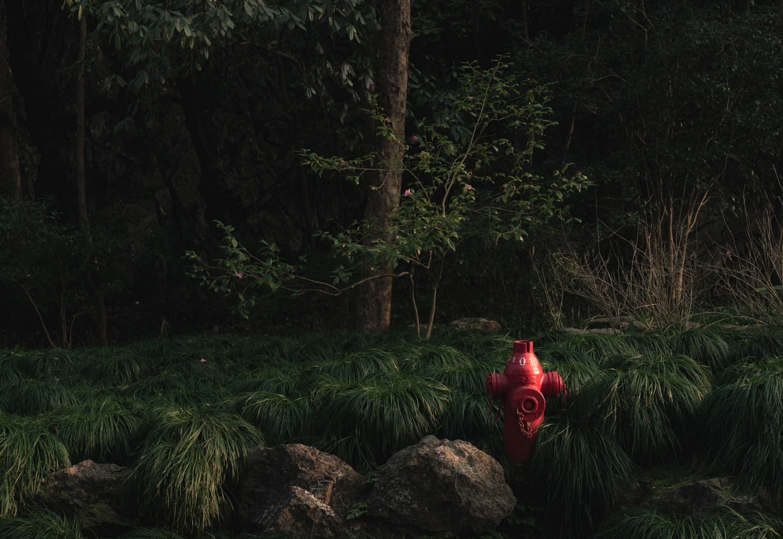 灵隐寺和永福寺丨中国杭州-14