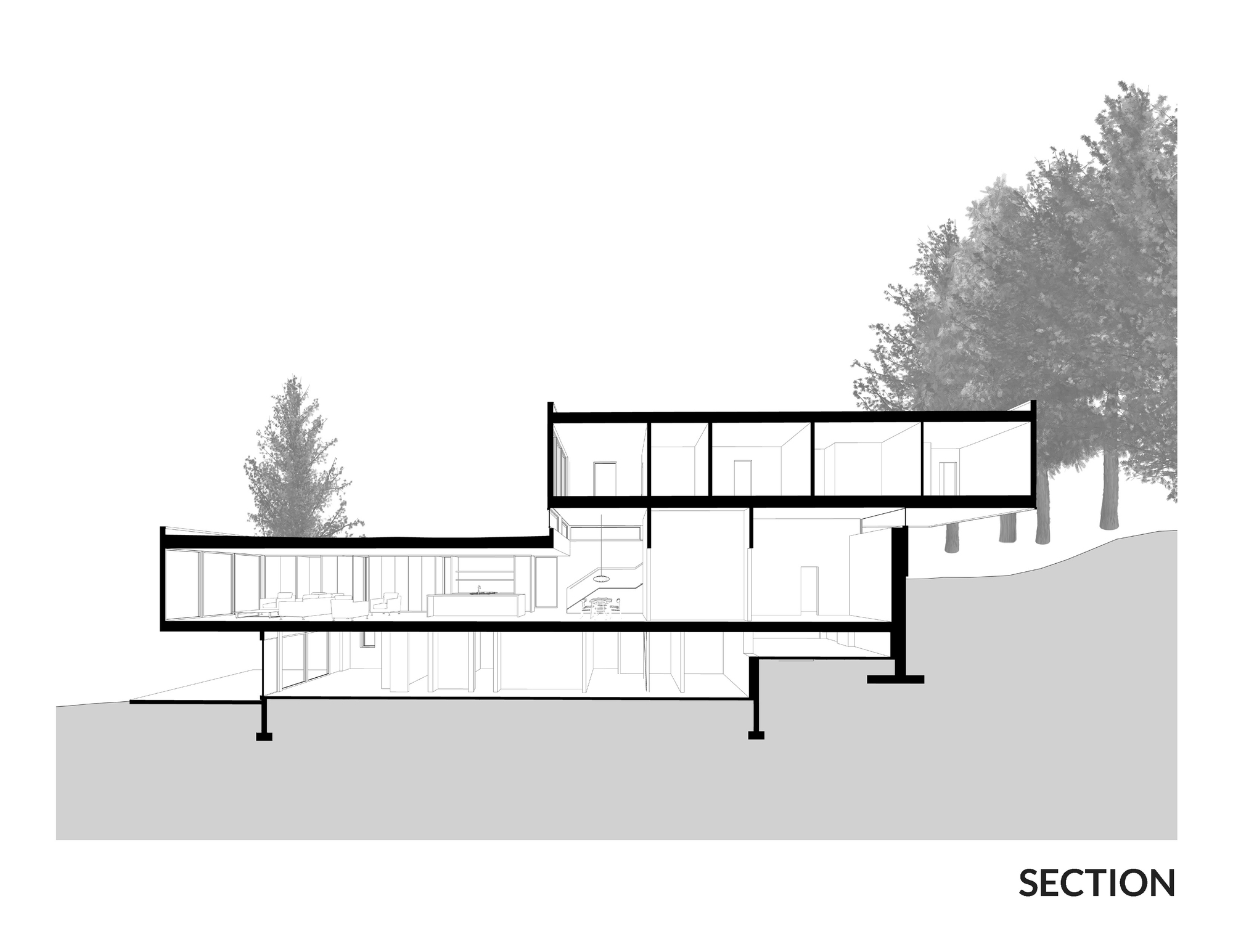 Mural House / Birdseye Design-12