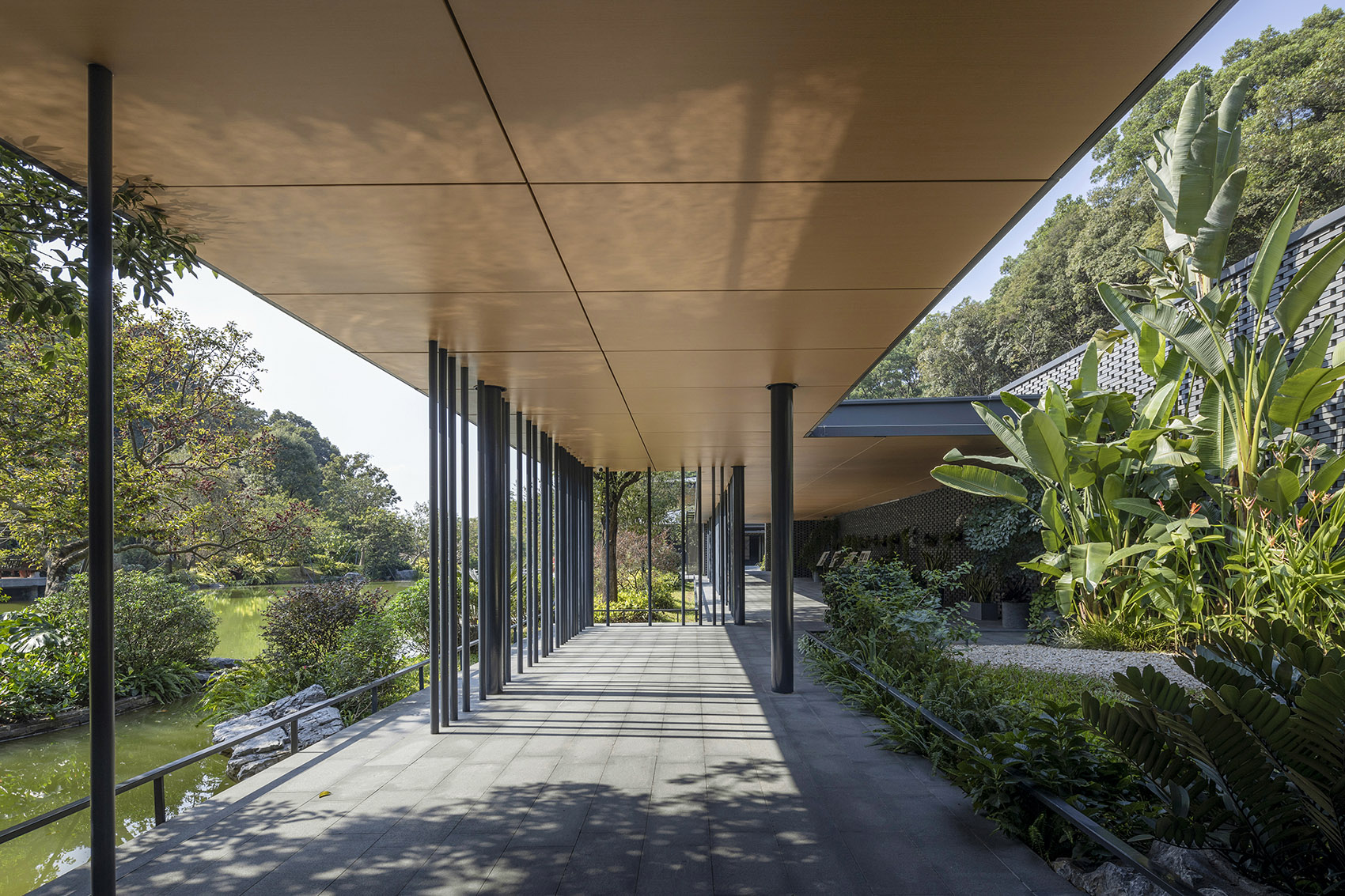 华南国家植物园云溪迁地保护示范区·自然教育馆丨华南理工大学建筑设计研究院有限公司等-29
