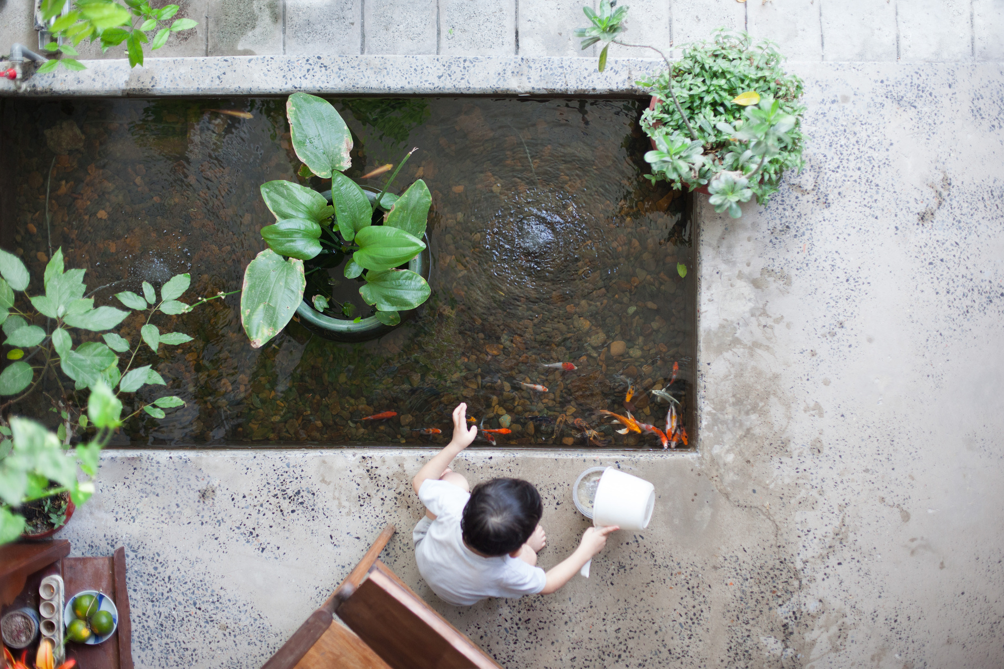 越南胡志明市 k59 住宅与工作室——现代与传统的和谐共生-22