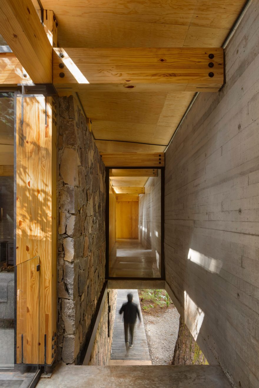 墨西哥森林度假屋,用材与自然完美融合-15