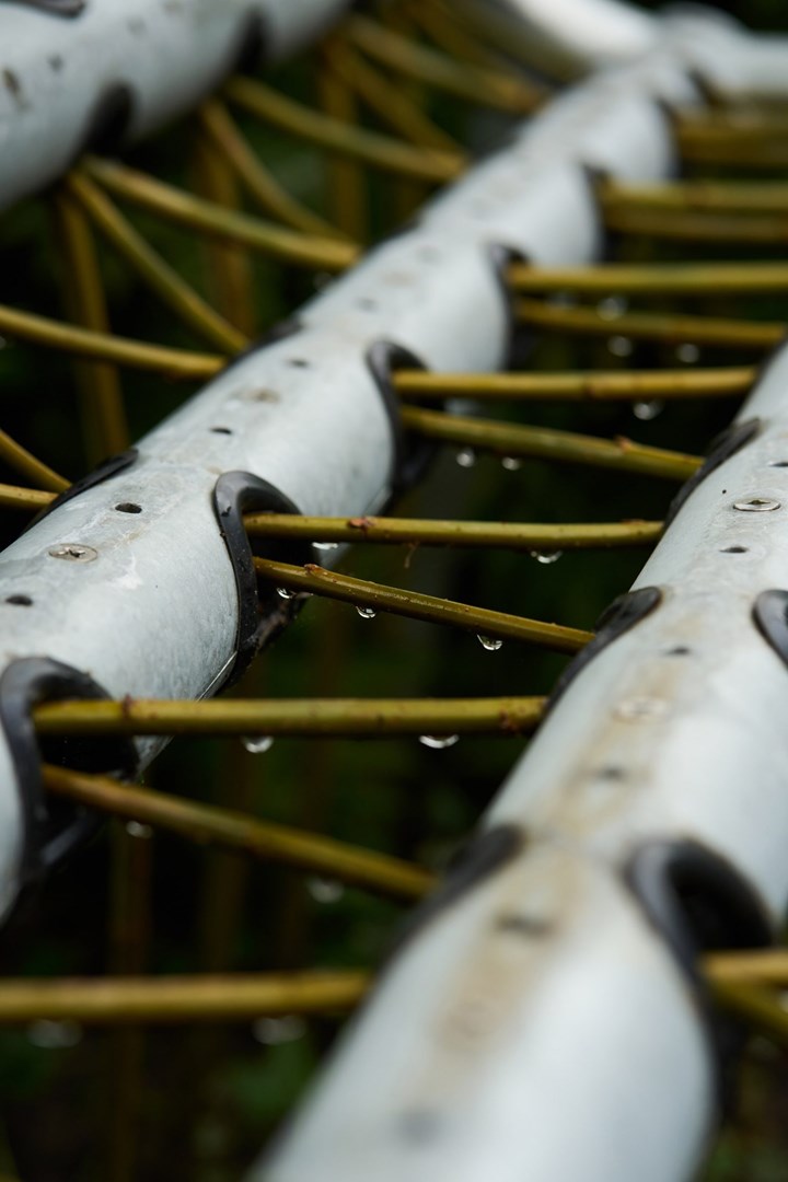 Tenir（将柳树培育成活的长椅）丨比利时丨Studio Part-6