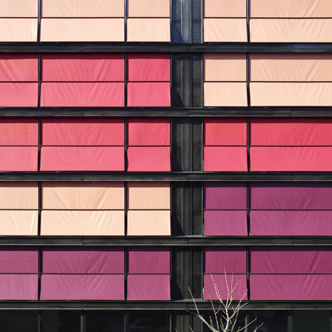 Coral House by Group8 | Dezeen-0