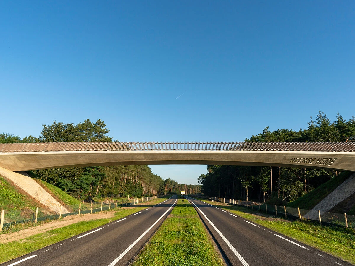 N69 公路丨荷兰丨NEXT architects-8