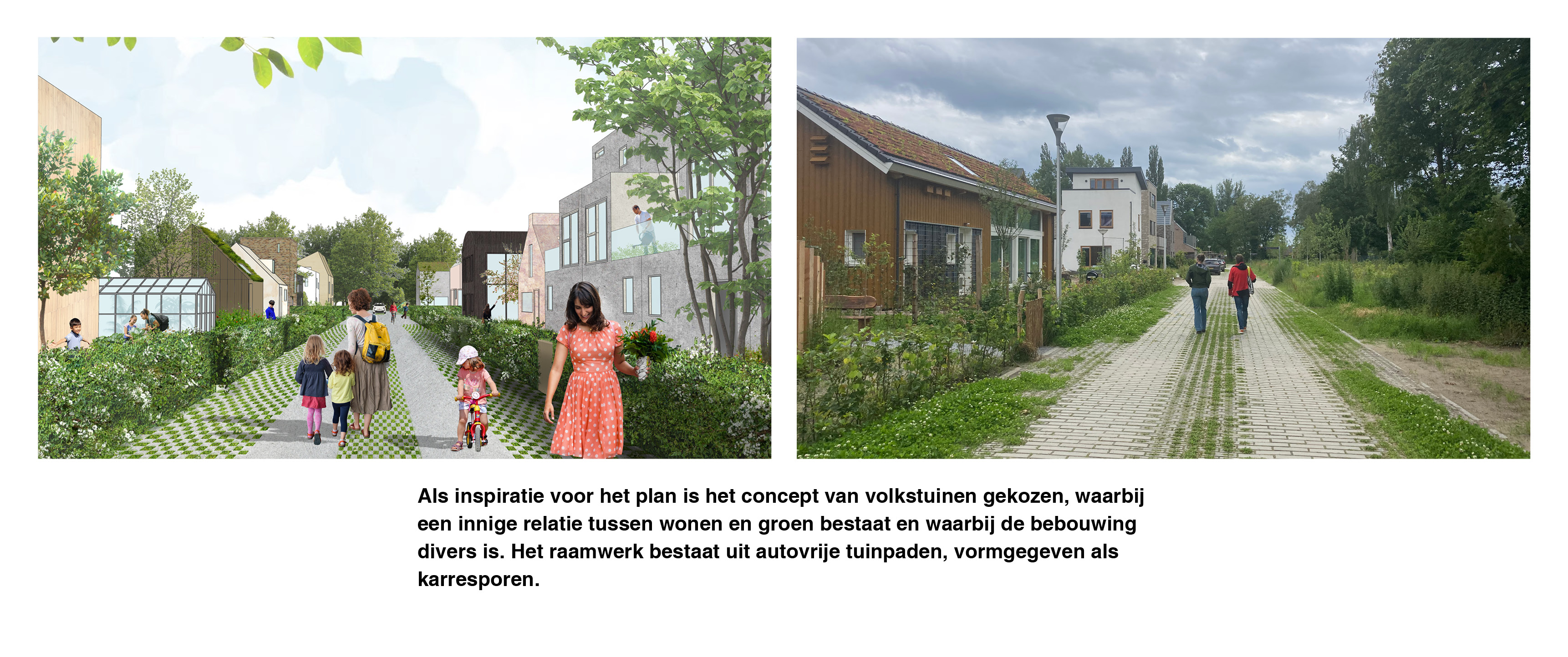 De Tuinen van Zandweerd（赞德韦德花园）丨荷兰丨Urhahn Stedenbouw & Strategie-3