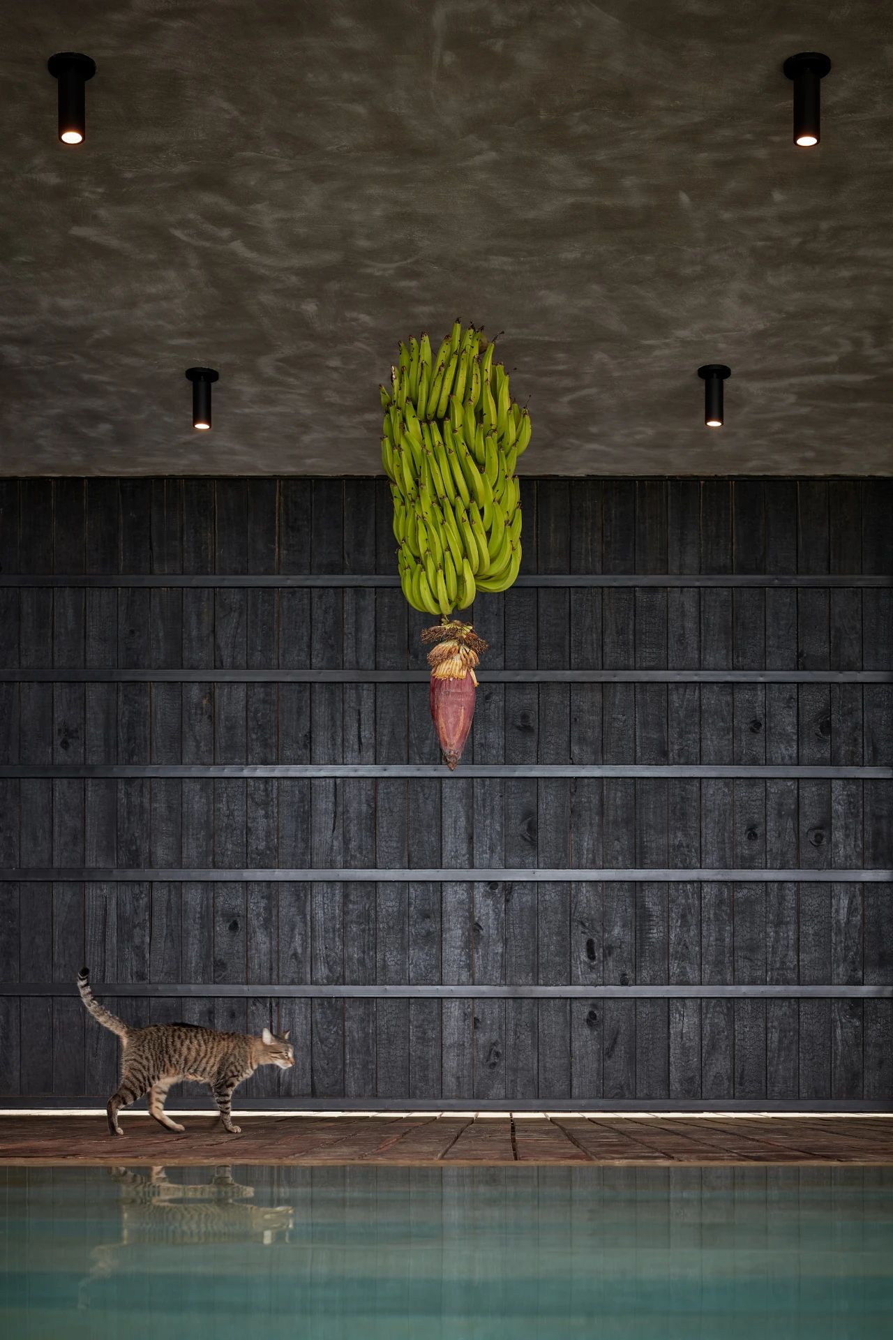 哥斯达黎加丛林中的艺术度假天堂-65