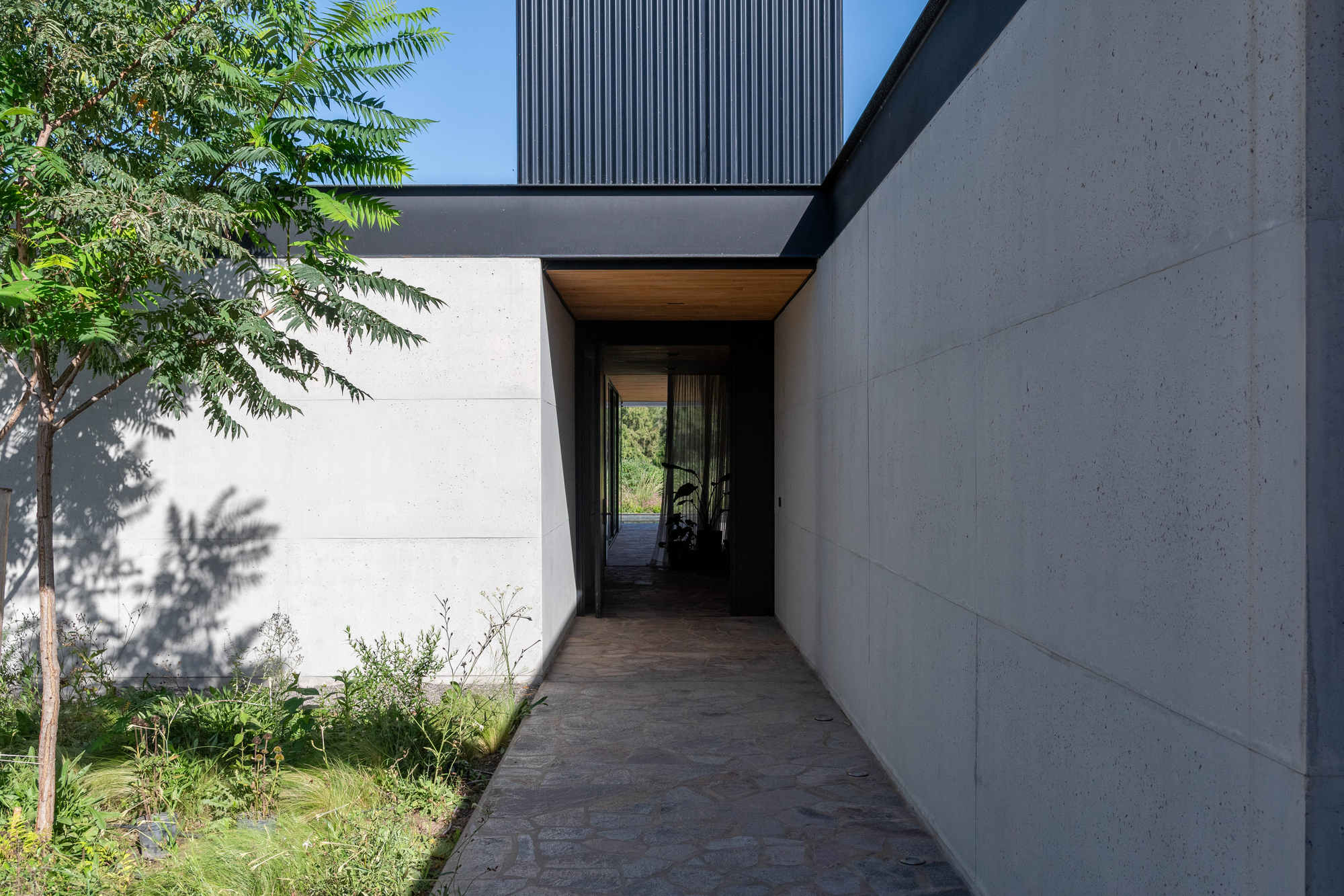 卡纽埃拉斯宅邸丨阿根廷科尔多瓦丨3164.estudio,SDF Arquitectos-6