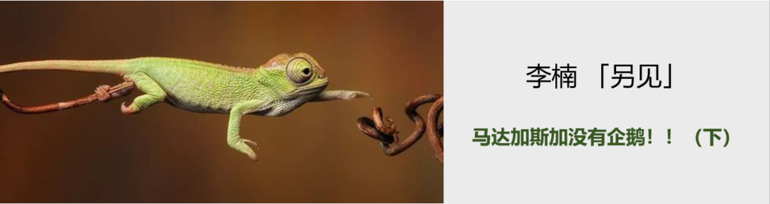 塞舌尔北岛度假酒店丨LDD李杜设计-157