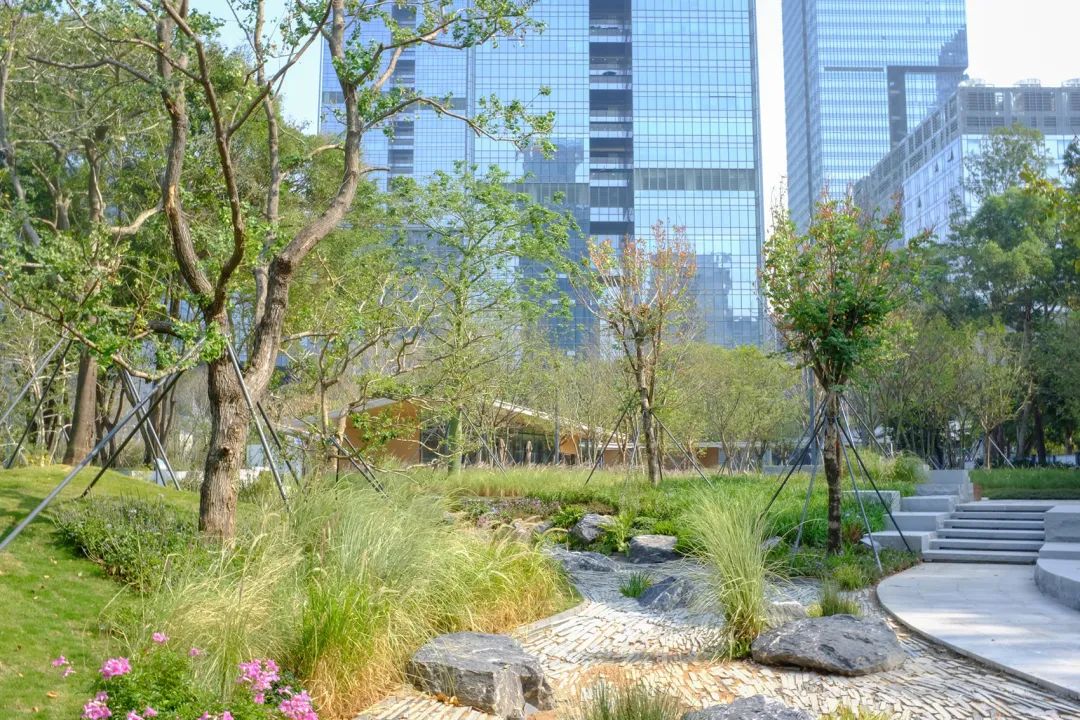 深圳智见·云上 · 科技与自然融合的社区公园丨中国深圳丨林俊英景观工作室,深圳市造源景观旅游规划设计有限公司-109