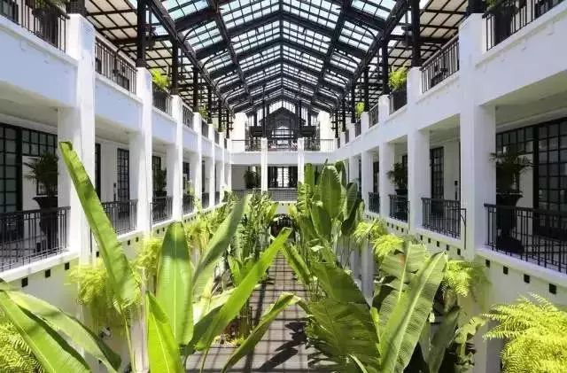 白百合幽会的酒店，我替你睡了-57