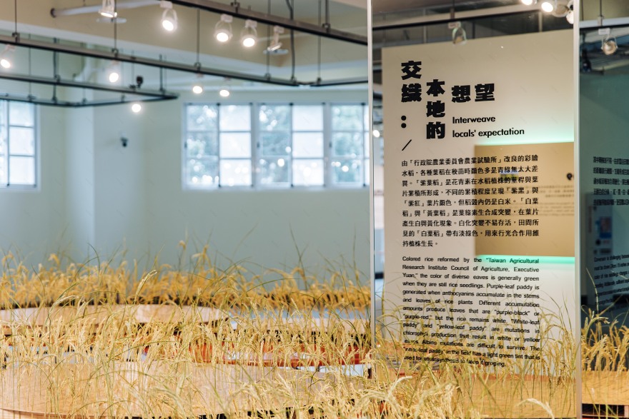 2022 屏东热带农业回顾展丨Atelier Boter-25