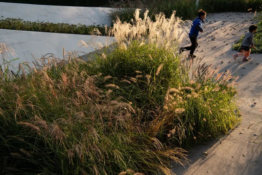 北京海淀光合公园丨中国北京丨Instinct Fabrication 本色营造-19