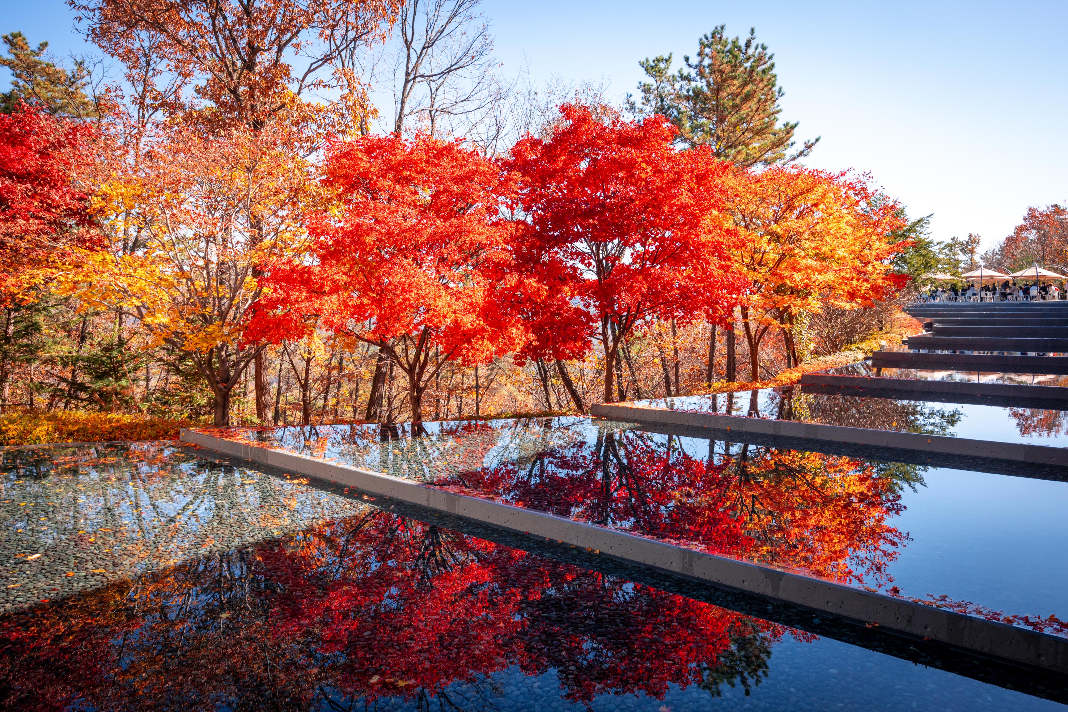 博物馆 SAN丨韩国原州市丨安藤忠雄-19