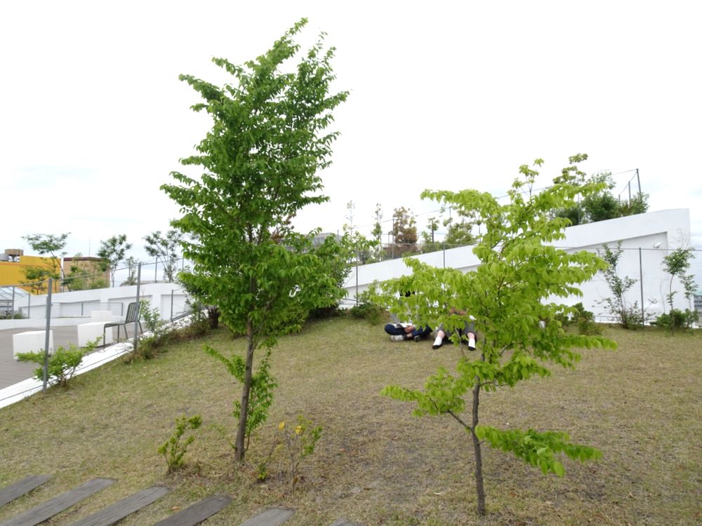 太田市美術館・図書館 | 群馬県 の建築【世界建築巡り】-93