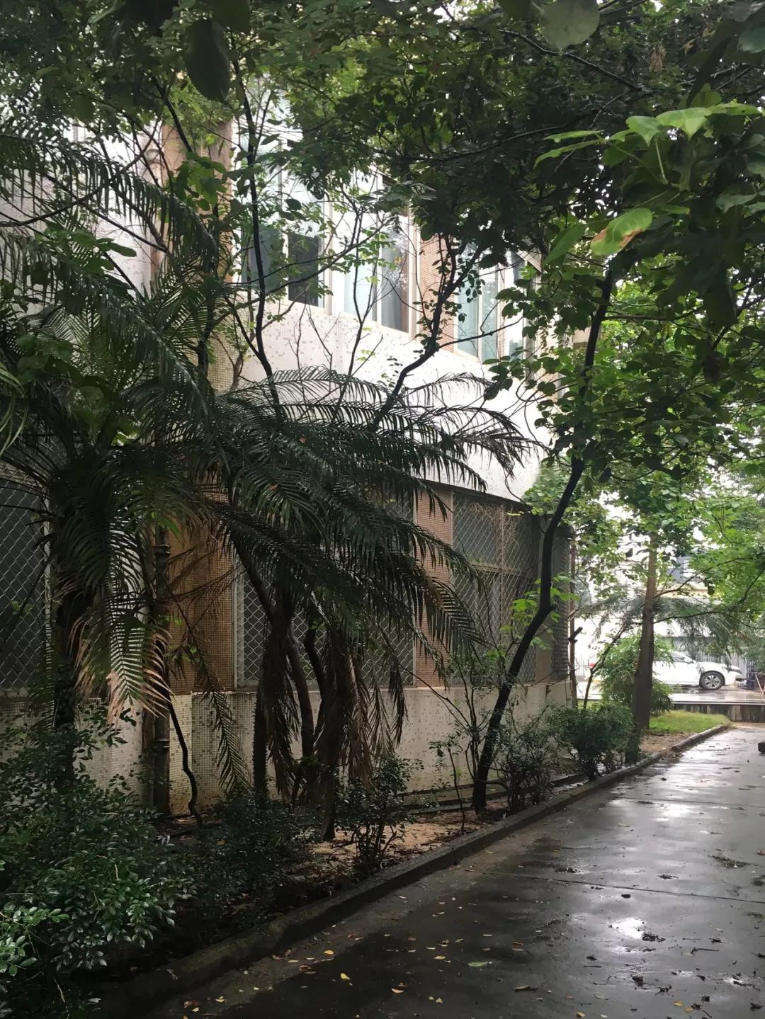 HITEL · Low·Fi 未来的场景酒店-14