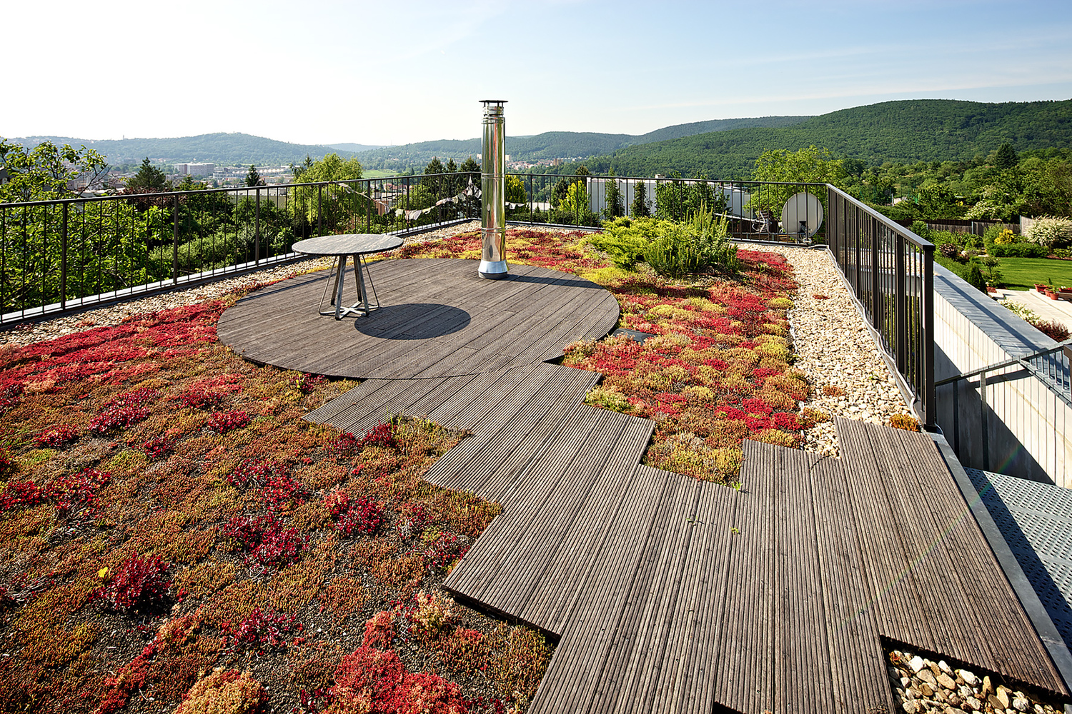 捷克布尔诺竹子别墅丨Atelier Stepan-21