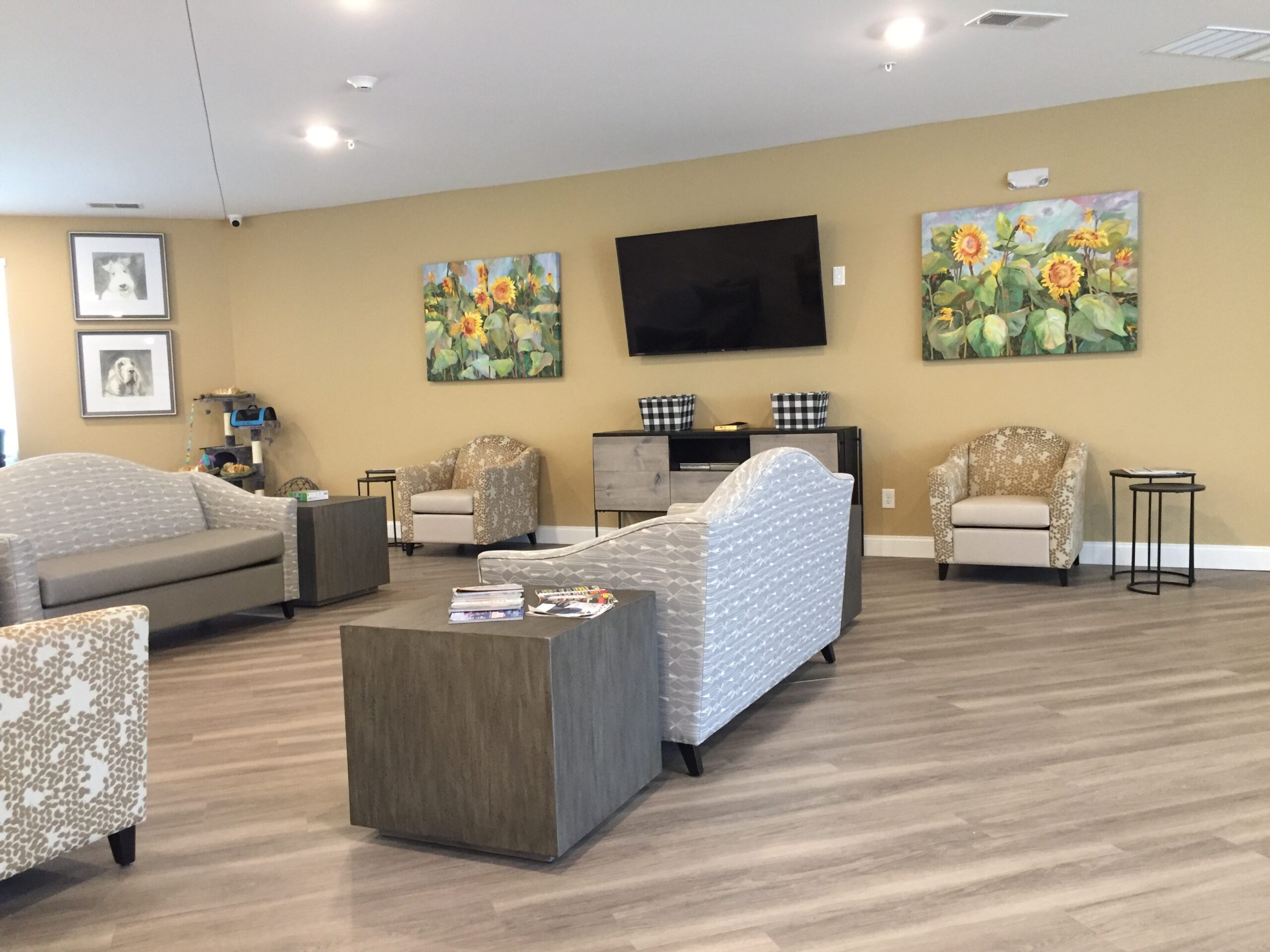 道森维尔庄园湖-78