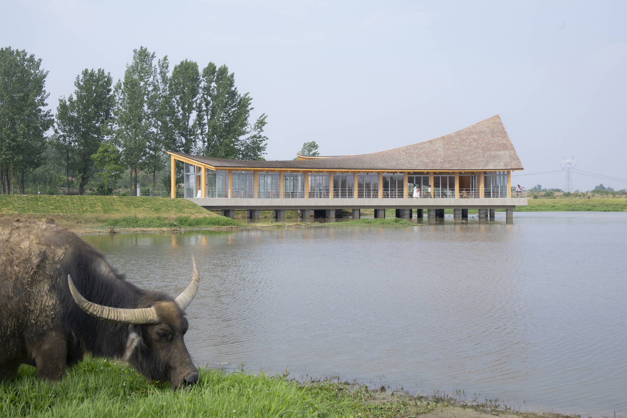 丨中国信阳丨Primary Architects-39