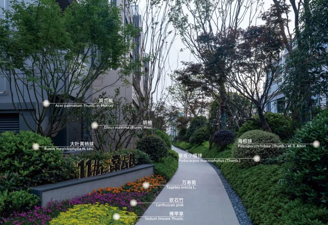 重新组合自然美 · 植物设计浅谈丨中国南京-39