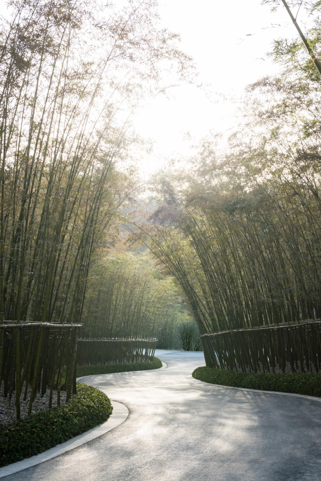 安吉天使小镇·映月谷丨中国丨青坤景观-6