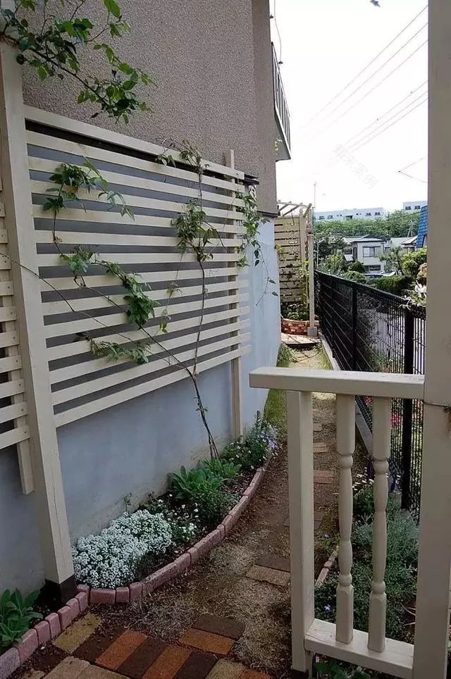 历时19年,小哥熬成大叔,不断改造进化的4㎡小院子!-32