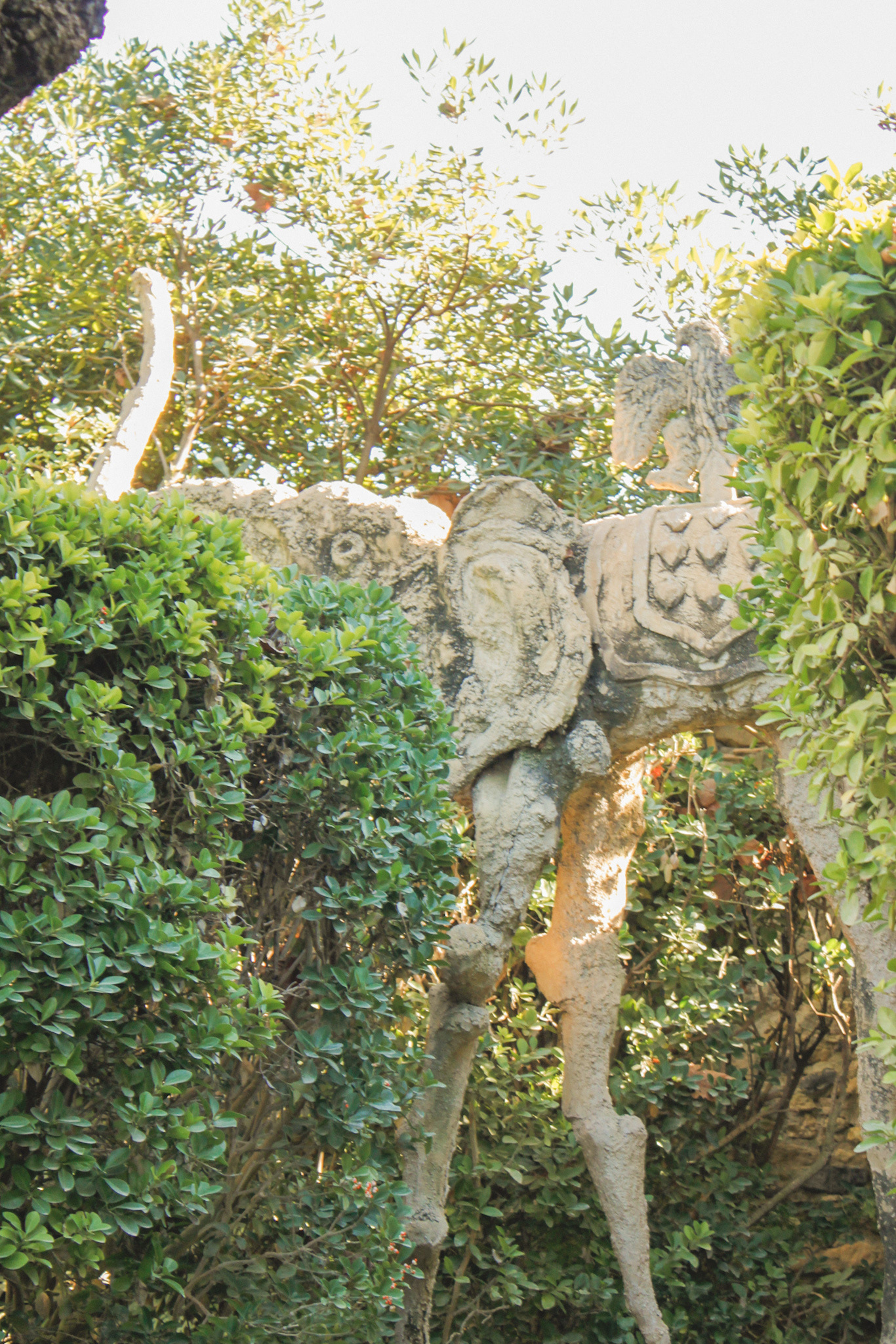 Dalí相关三处场所丨西班牙-72