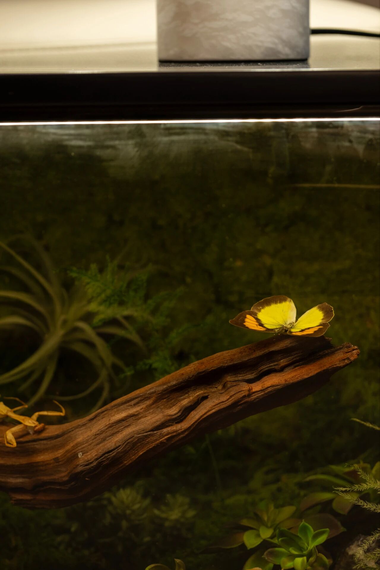 天钻145样板房项目丨中国淮安丨Yan Design大研设计-30