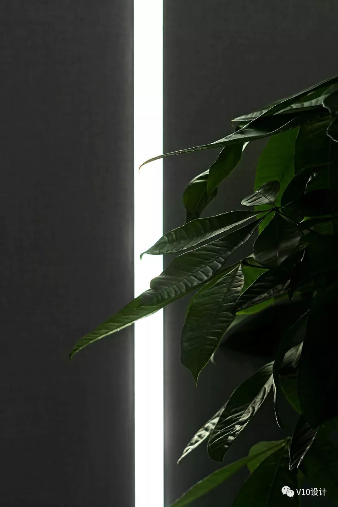 保德信总部办公空间——高效利用的 L 型布局-32