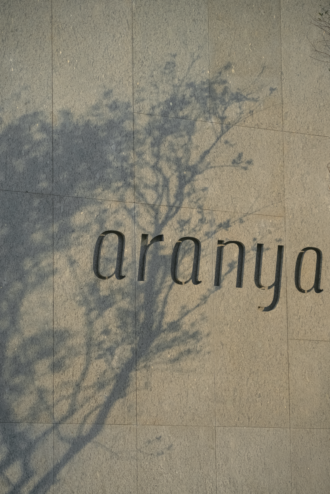 山岚褶皱处的寂静生长|阿那亚三亚景观秘境诗学-9