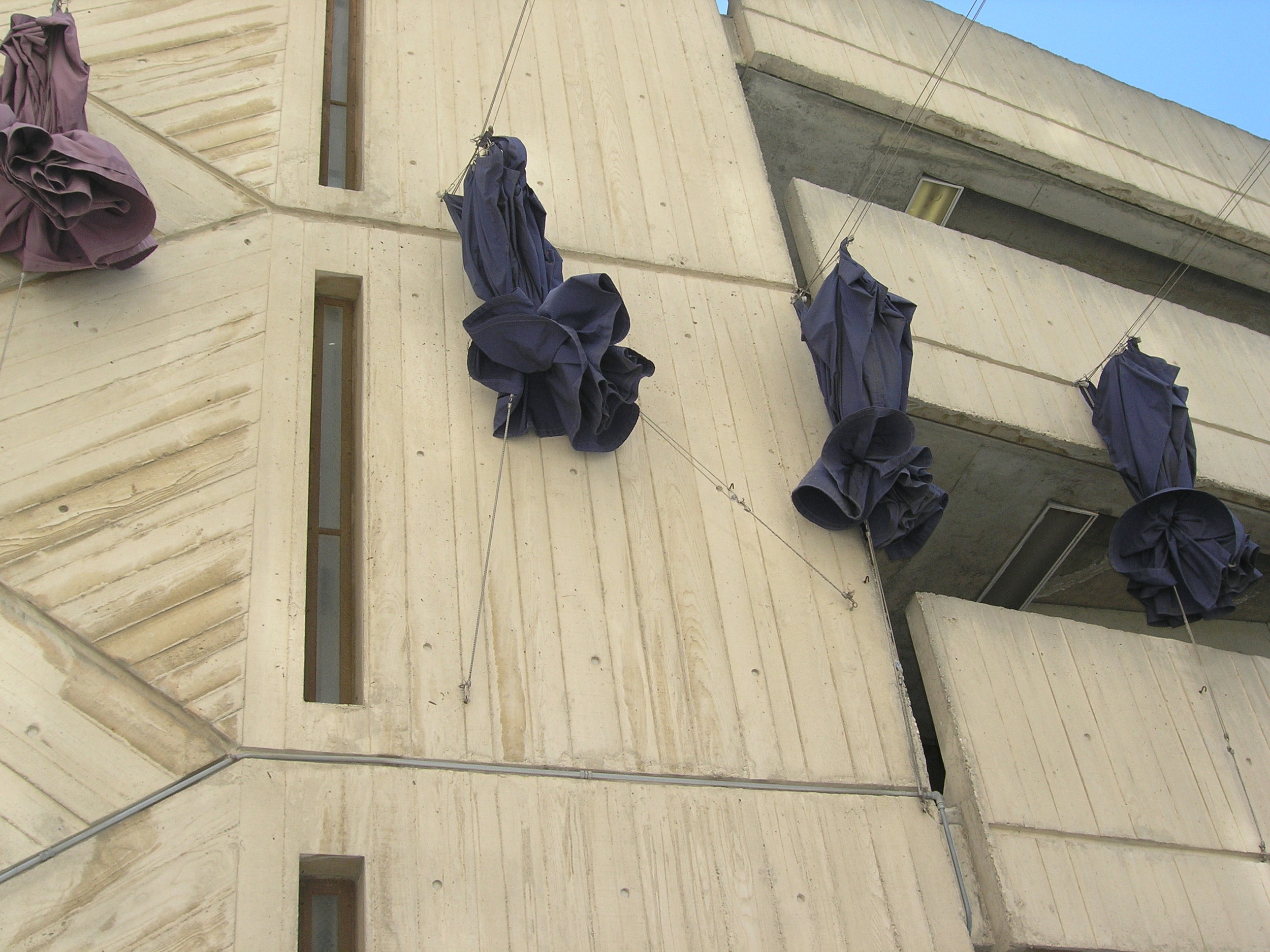 丨美国洛杉矶-34