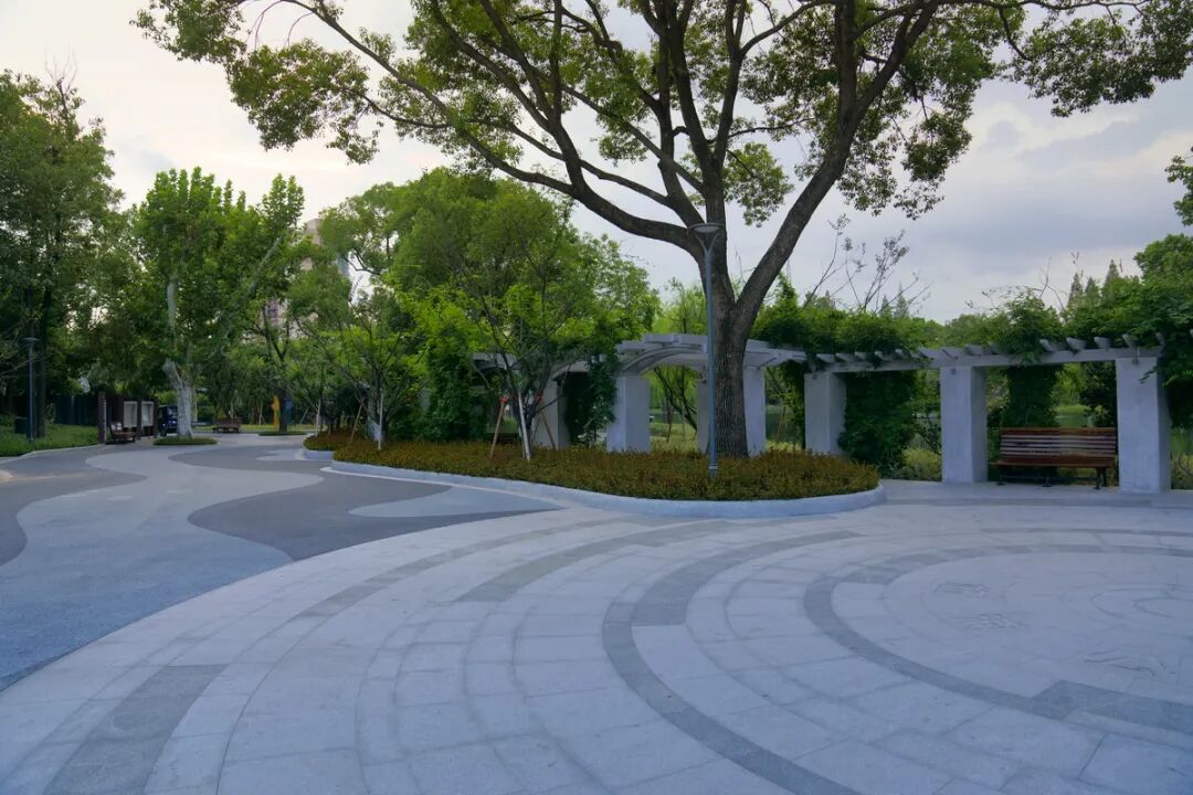 中国园林·理事专栏|“拓”之力量：杨浦公园改造纪实(三)-96