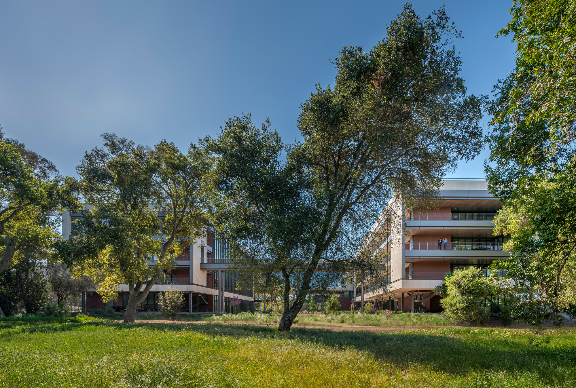 斯坦福大学医学院学术医学中心丨美国加利福尼亚丨HOK-14