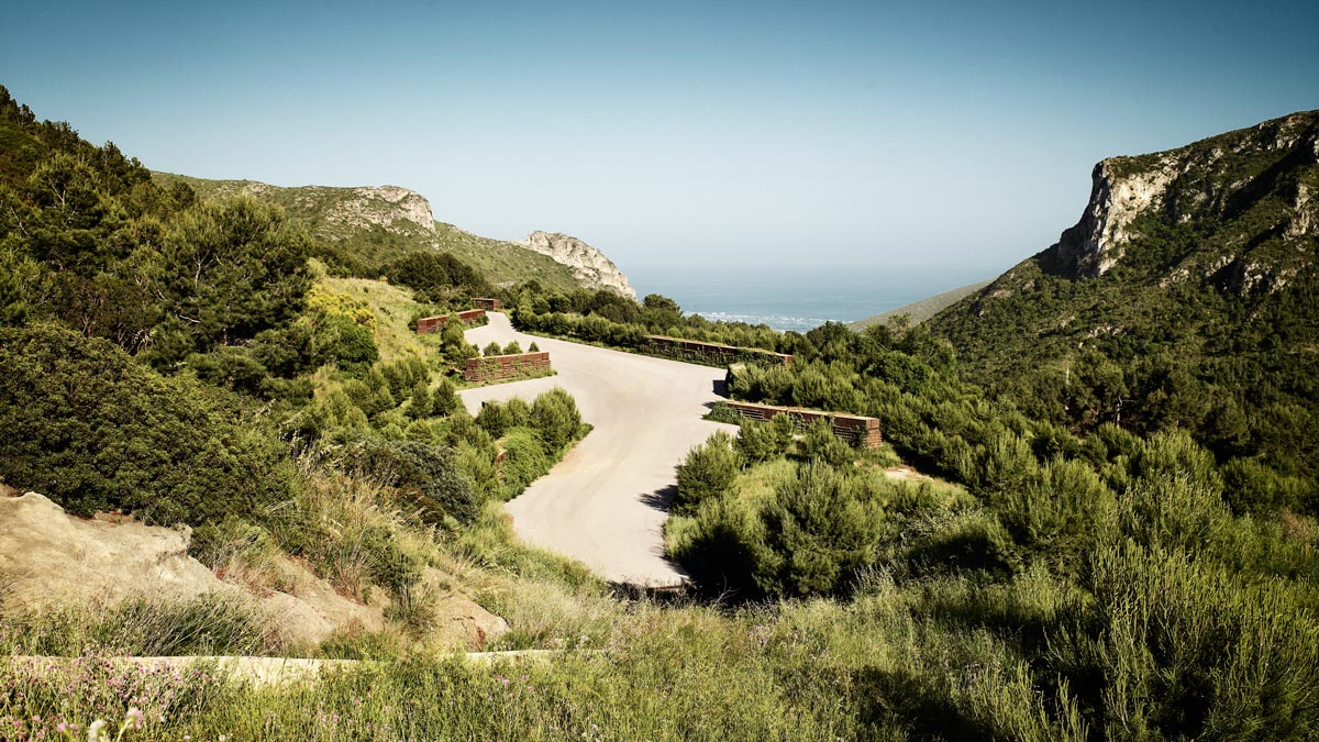 垃圾填埋场改造后得山体公园-2