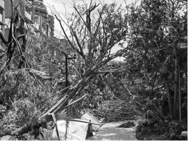 于热带秘境中编织生活美学|江东麓岛阅海澜岸2期花境项目-13