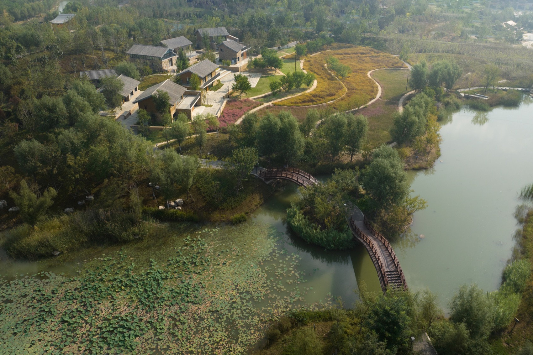 雄安新区悦容公园桃花园丨北京林业大学园林学院,北京多义景观规划设计事务所-10