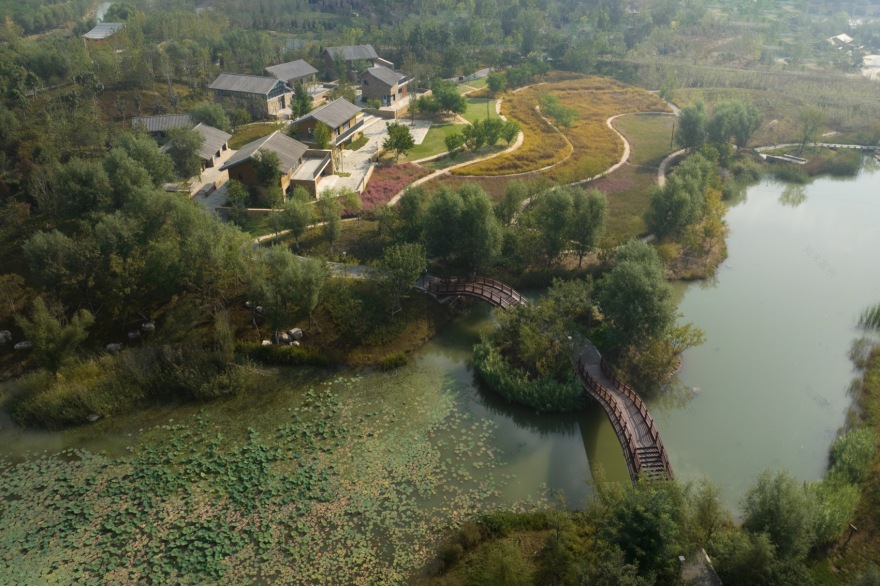 雄安新区悦容公园桃花园丨北京林业大学园林学院,北京多义景观规划设计事务所-10