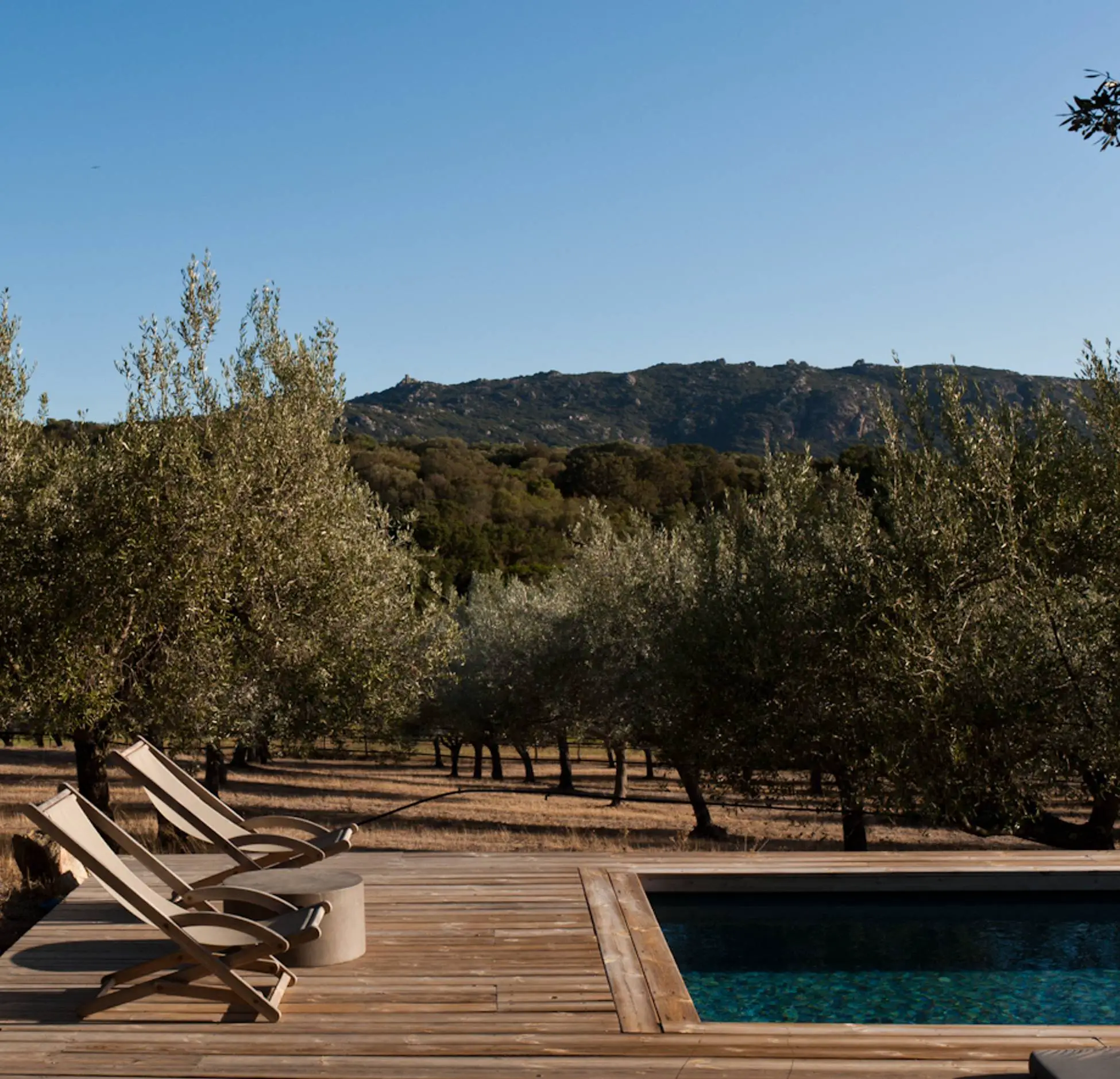 塞杰（Sajé）-19