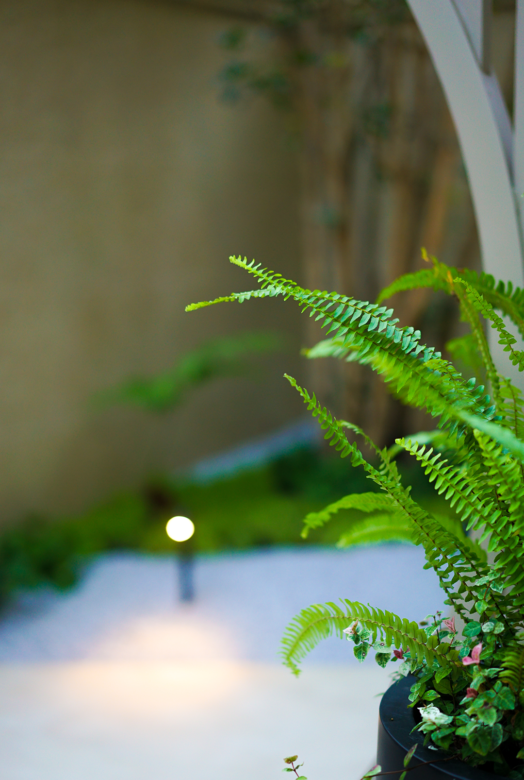 《悦趣园》丨中国上海丨上海东町景观设计工程有限公司-54