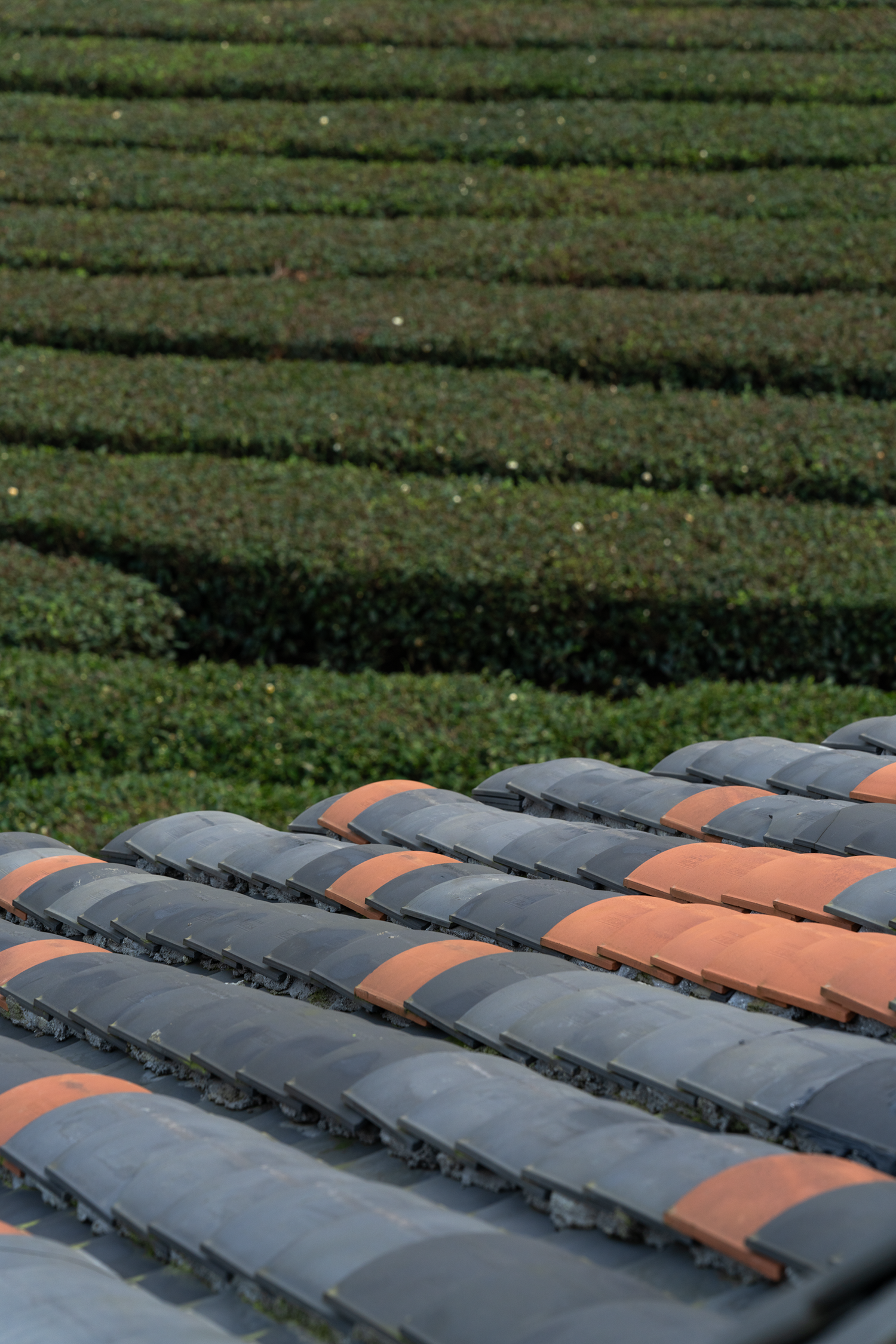 山岫茶宿·叙永丨中国泸州丨小隐建筑事务所-95