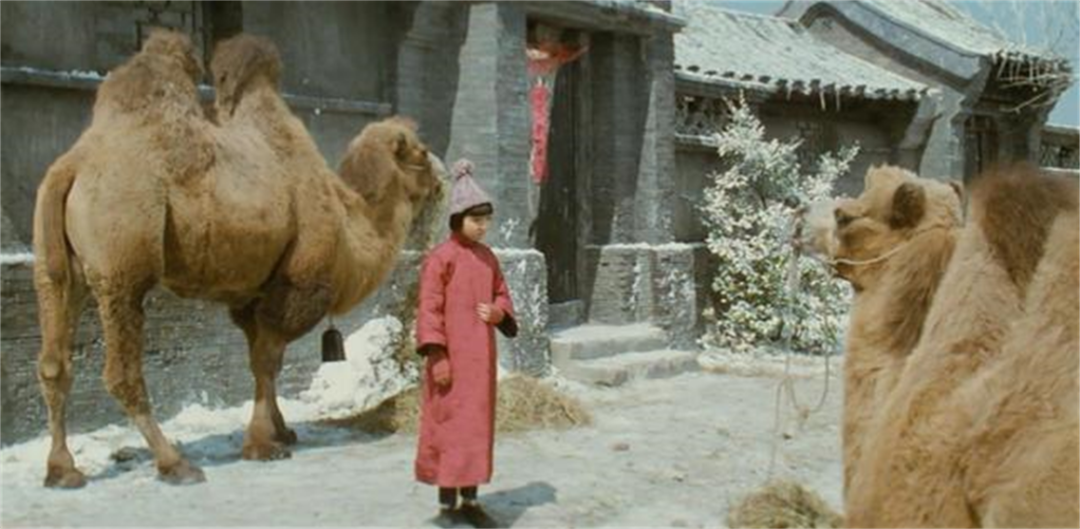 国际大师逻辑解析丨纵横解析大师-58