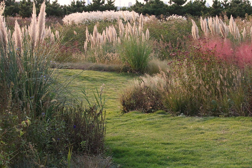 多岛海野草公园丨中国日照丨孔祥伟工作室-81