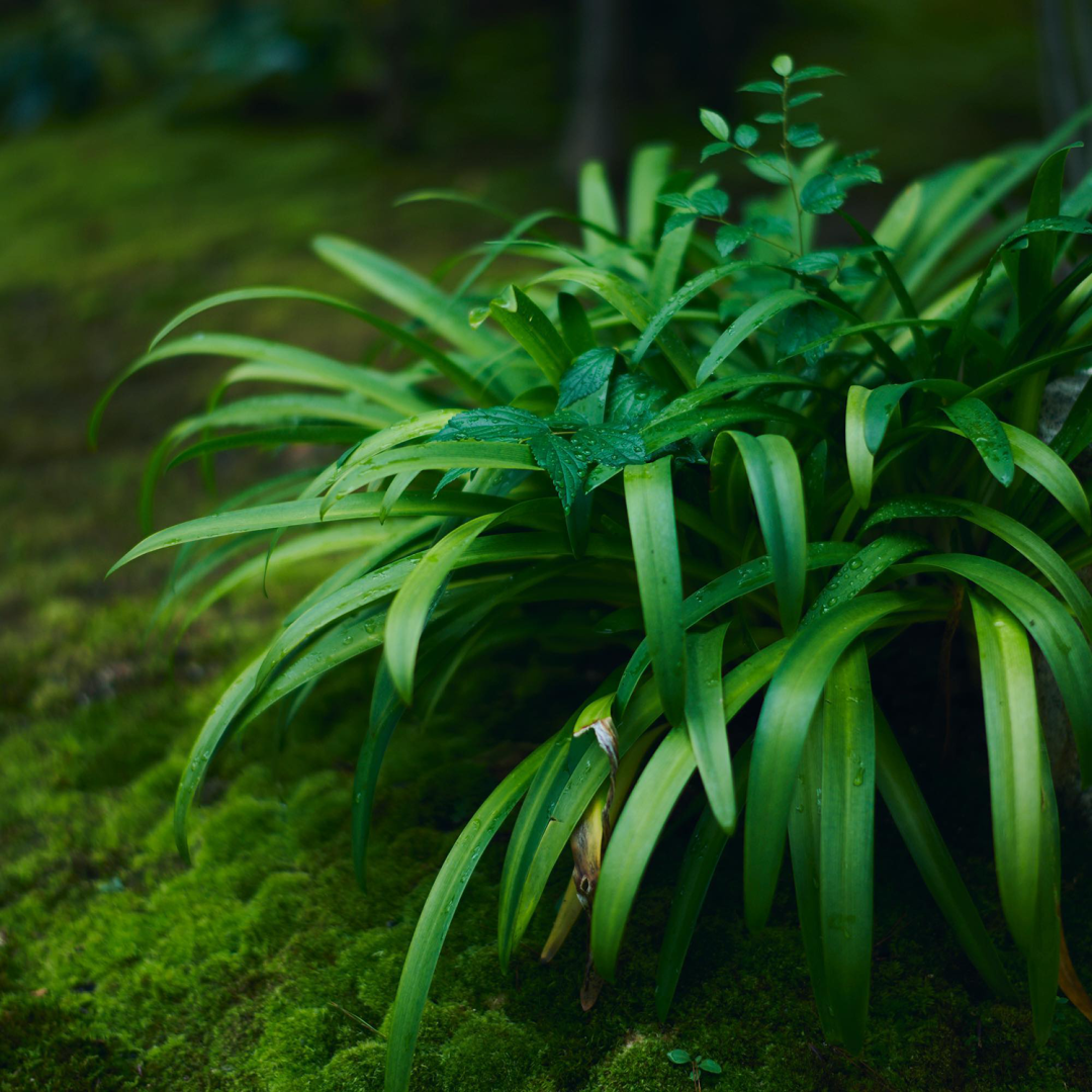 suimontei(翠門亭)民宿设计丨日本奈良-35
