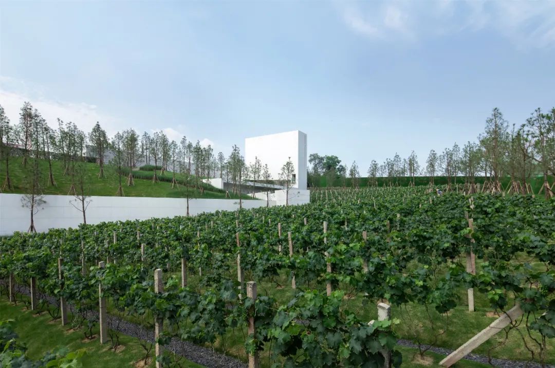 重庆万科璞园丨中国重庆丨WTD纬图设计-11